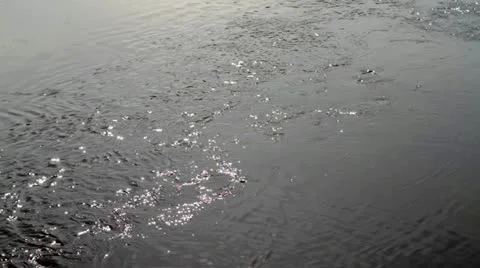 Flowing Water. Stock Footage 10913321