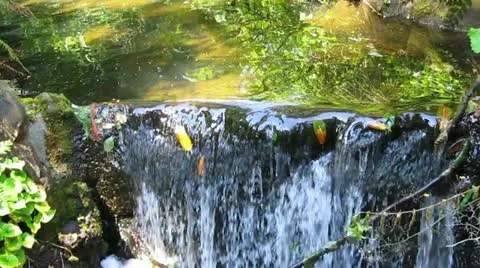 Flowing water Video stock 11977545