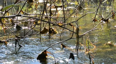 Flowing Water Stock Footage 42766679