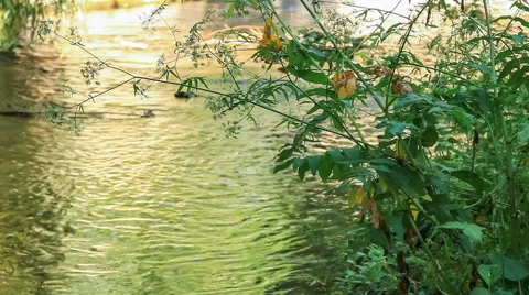 Flowing water Stock Footage 50896127