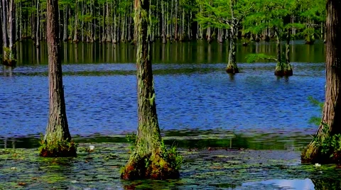 Flowing Water Stock Footage 65288307