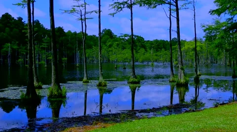 Flowing Water Stock Footage 65288311