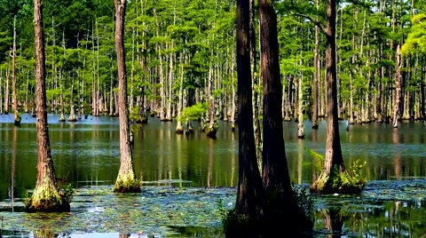 Flowing Water Stock Footage 65288312