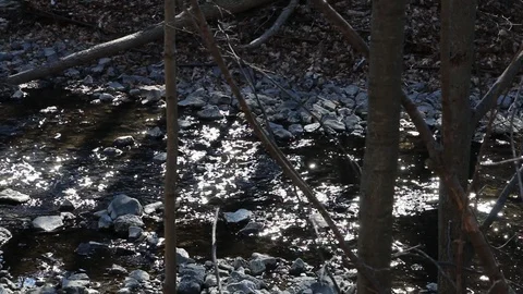 Flowing Water Stock Footage 87356591