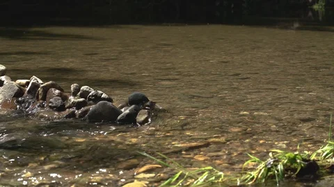 Flowing Water Stock Footage 91899598