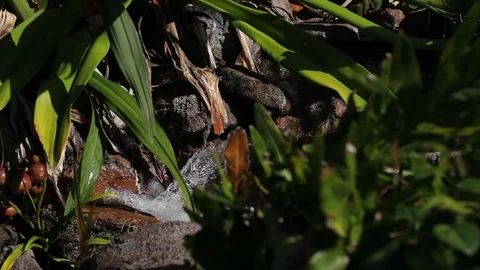 Flowing Water Stock Footage 104705372