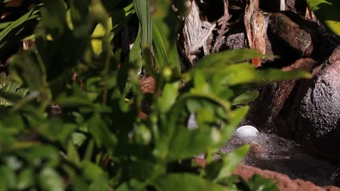 Flowing Water Stock Footage 104706160