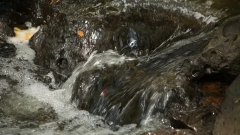 Flowing Water Stock Footage 104828441