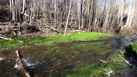 Flowing water Stock Footage 122354575