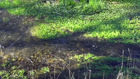 Flowing water Stock Footage 122354891