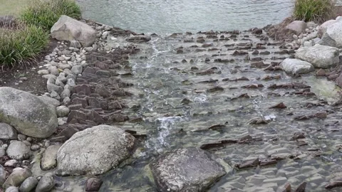 Flowing water Stock Footage 133457664