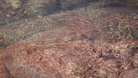 Flowing Water Stock Footage 142202951