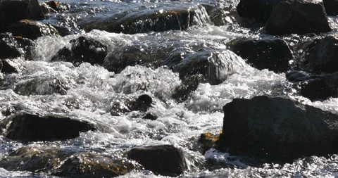 Flowing water Stock Footage 164192662