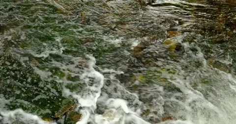 Flowing Water 스톡 동영상 172456378