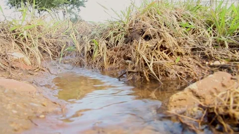 Flowing water 動画素材 183326902