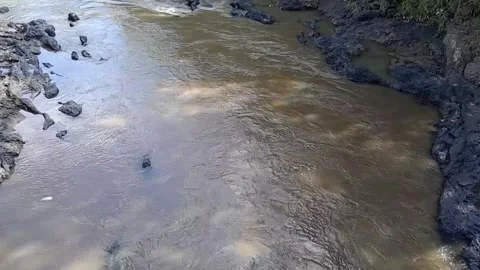 Flowing water Stock Footage 259287463