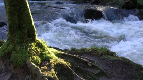 Flowing water  Stock Footage 261064354