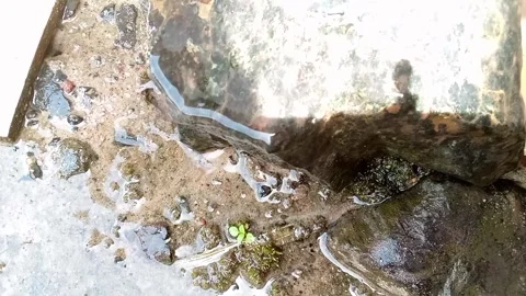 Flowing Water Stock Footage 300337760