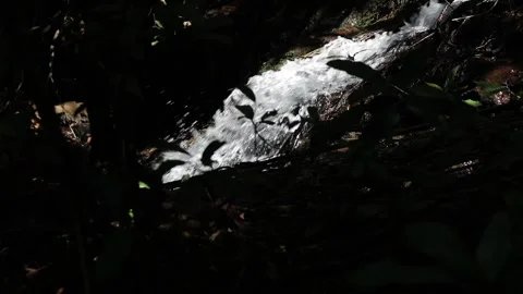 Flowing water Stock Footage 302895650
