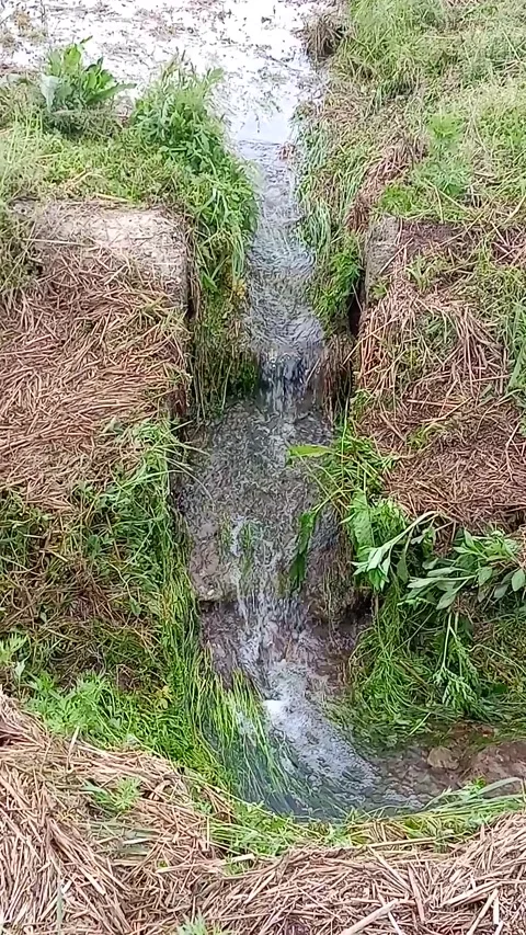 Flowing water Stock Footage 307100587