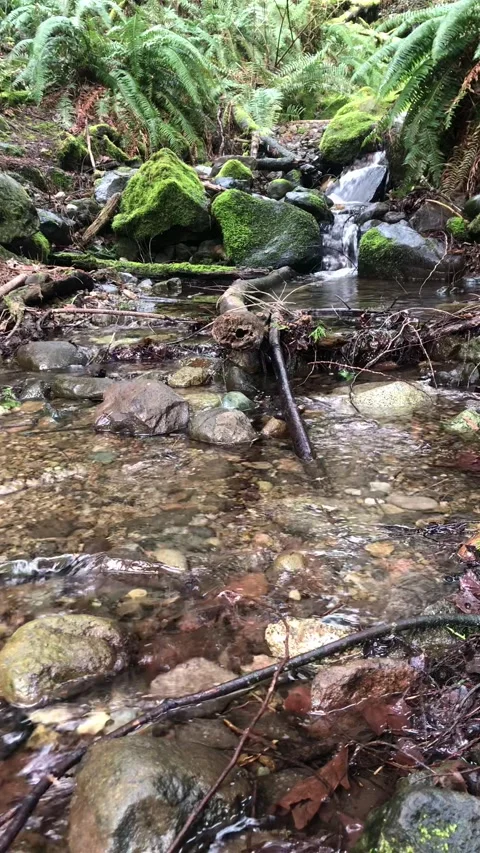 Flowing water Stock Footage 312866754