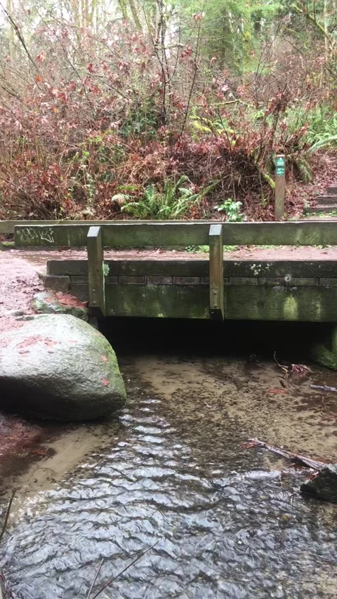 Flowing water Stock Footage 312866758