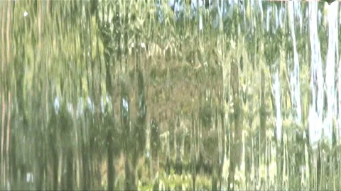 Flowing Water Stock Footage 327439032