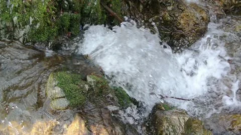 Flowing Water in the Forest Stock Footage 21904423