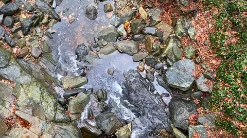 Flowing water in a local stream. Stock Footage 259578771