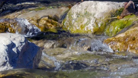 Flowing water of a mountain stream Stock Footage 98536616