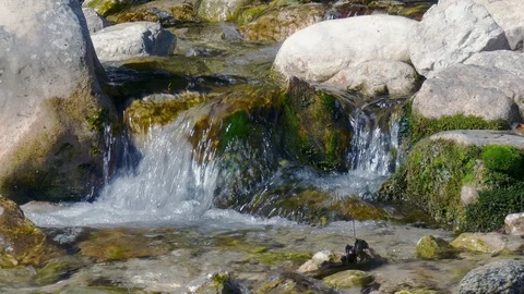 Flowing water of a mountain stream Stock Footage 98536703