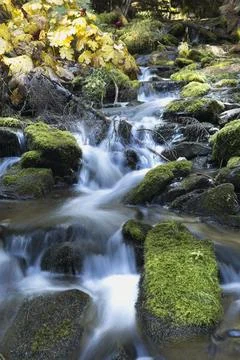 Flowing water from a mountain stream. Stock Photos