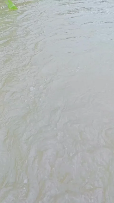 Flowing water in a natural river stream Stock Footage 346745894