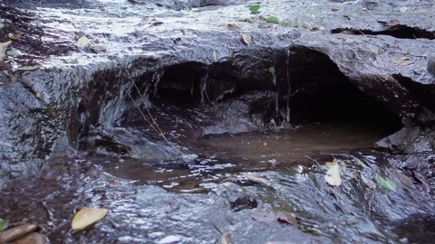 Flowing water in nature Stock Footage 81947232