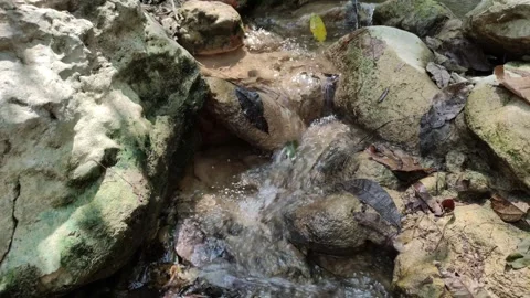 Flowing water in nature Vidéo 282218926