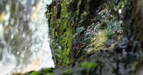Flowing water over moss-covered rocks with natural light reflections. Fresh Stock Footage 337388055