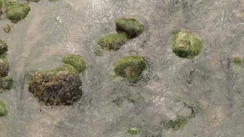 Flowing water over small rocks stream slow motion stock footage Видео 309547214