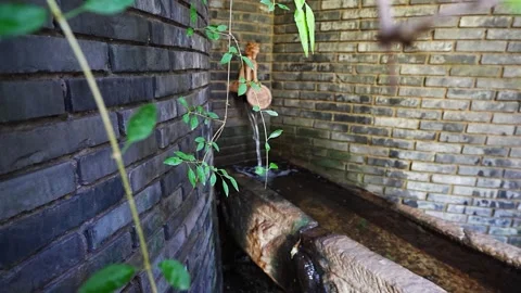 Flowing water pool in garden Stock Footage 218288860