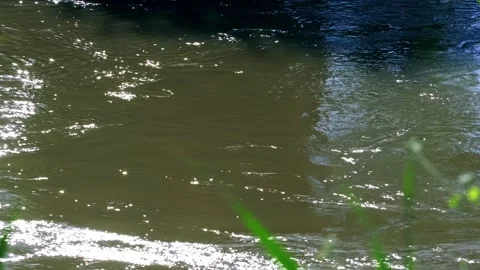 Flowing water - ripples - surface river water Видео 258110447