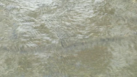 Flowing water in a river bed, gray water surface, Germany Stock Footage 305149342
