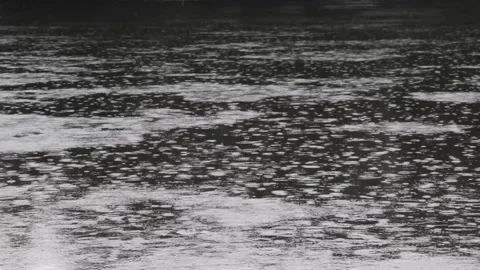 Flowing water in the river during rain Stock Footage 180160022
