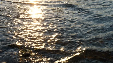 Flowing water of a river at dusk Stock Footage 111783571