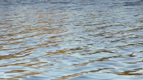 Flowing water in a river Video stock 32454747