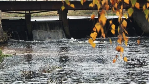 Flowing water of a river Stock Footage 88443347
