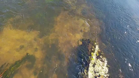 Flowing water of a river Stock Footage 165408745