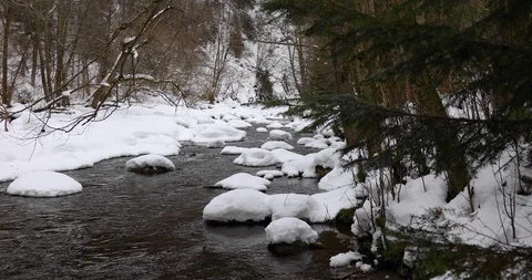 Flowing Water of River in Forest 動画素材 103816825