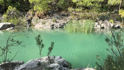 Flowing water in the river. Mountain river with blue water, river bank in summer Stock Footage 308316553