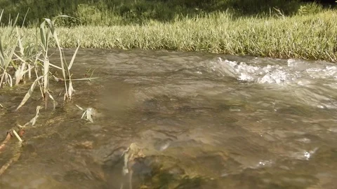 Flowing water in the river (Secchia) 2 4K -Italian nature Video stock 125634676