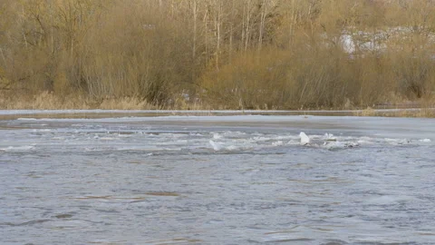 The flowing water on the river stream in Estonia 스톡 동영상 150407381
