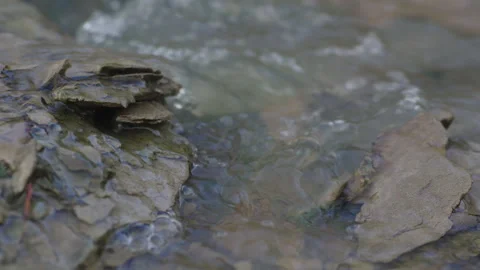 Flowing Water By Rock Close Up Stock Footage 300649150